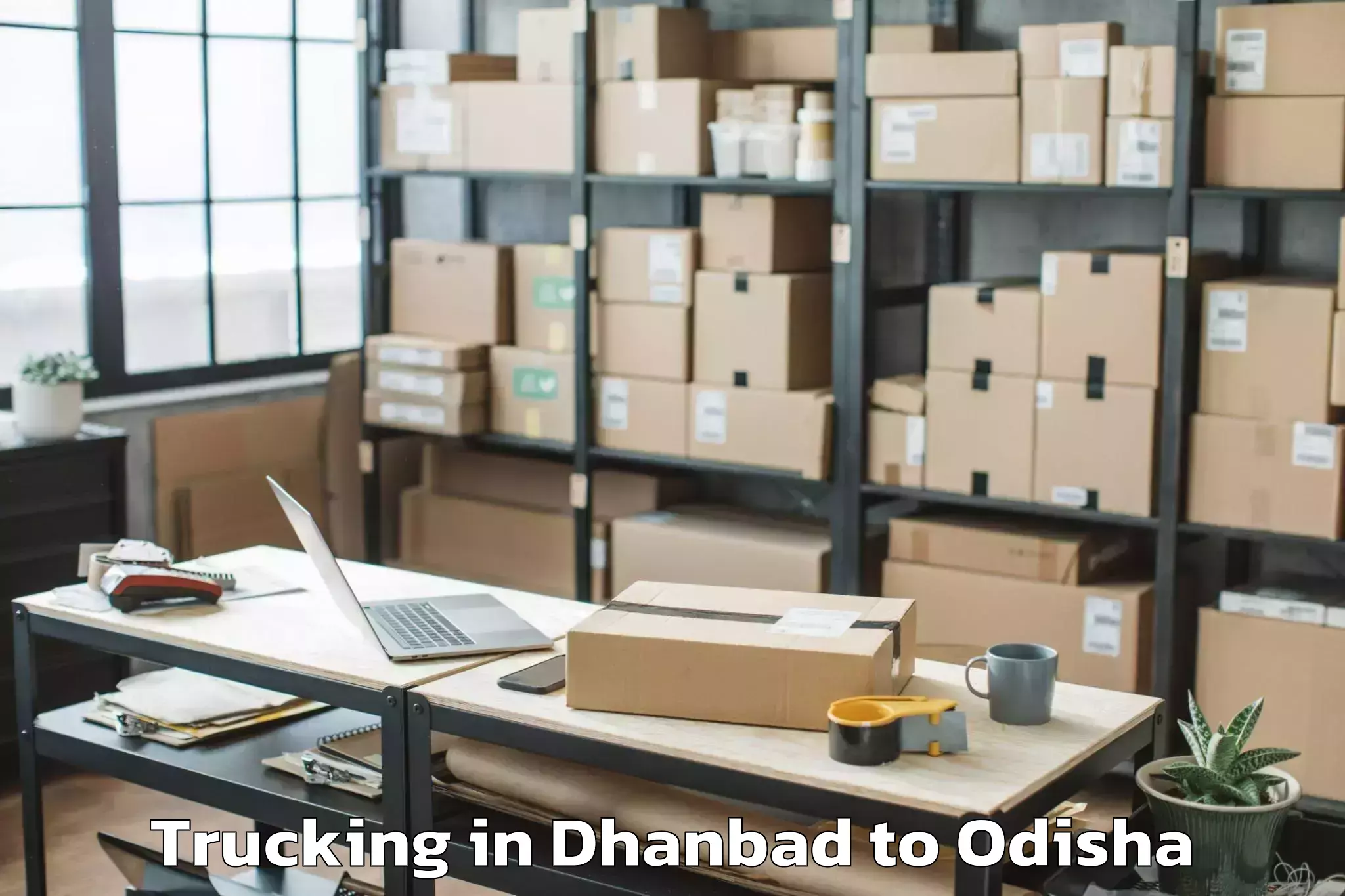 Book Dhanbad to Phiringia Trucking Online